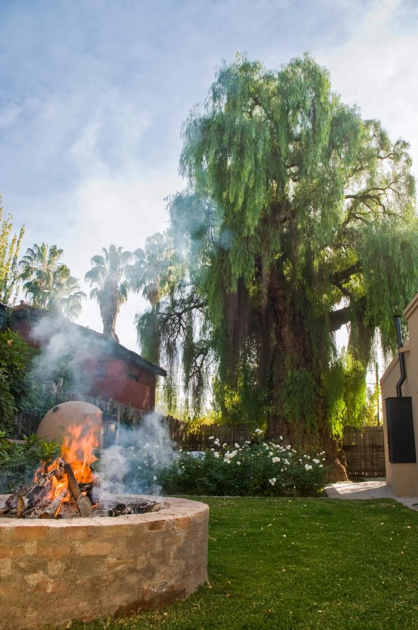 El aguaribay histórico de la finca, junto al espacio del asado, con el fuego encendido a sus pies