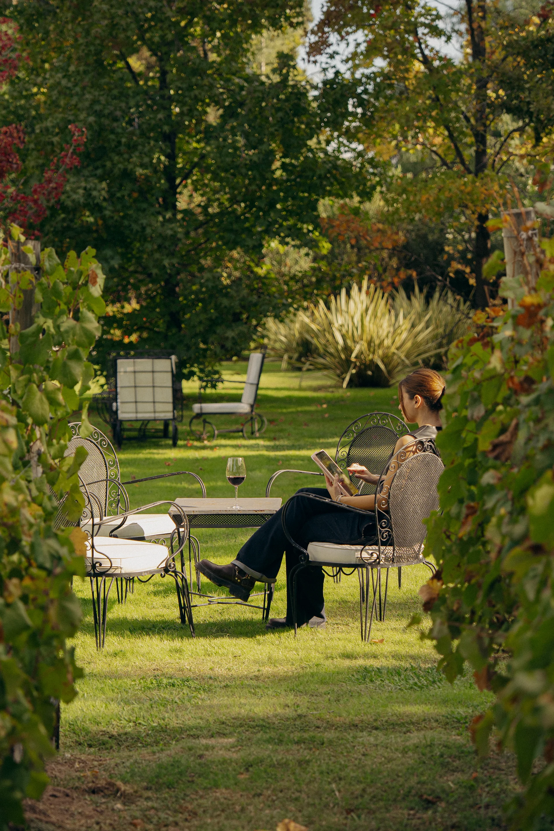 Jardines y viñedo