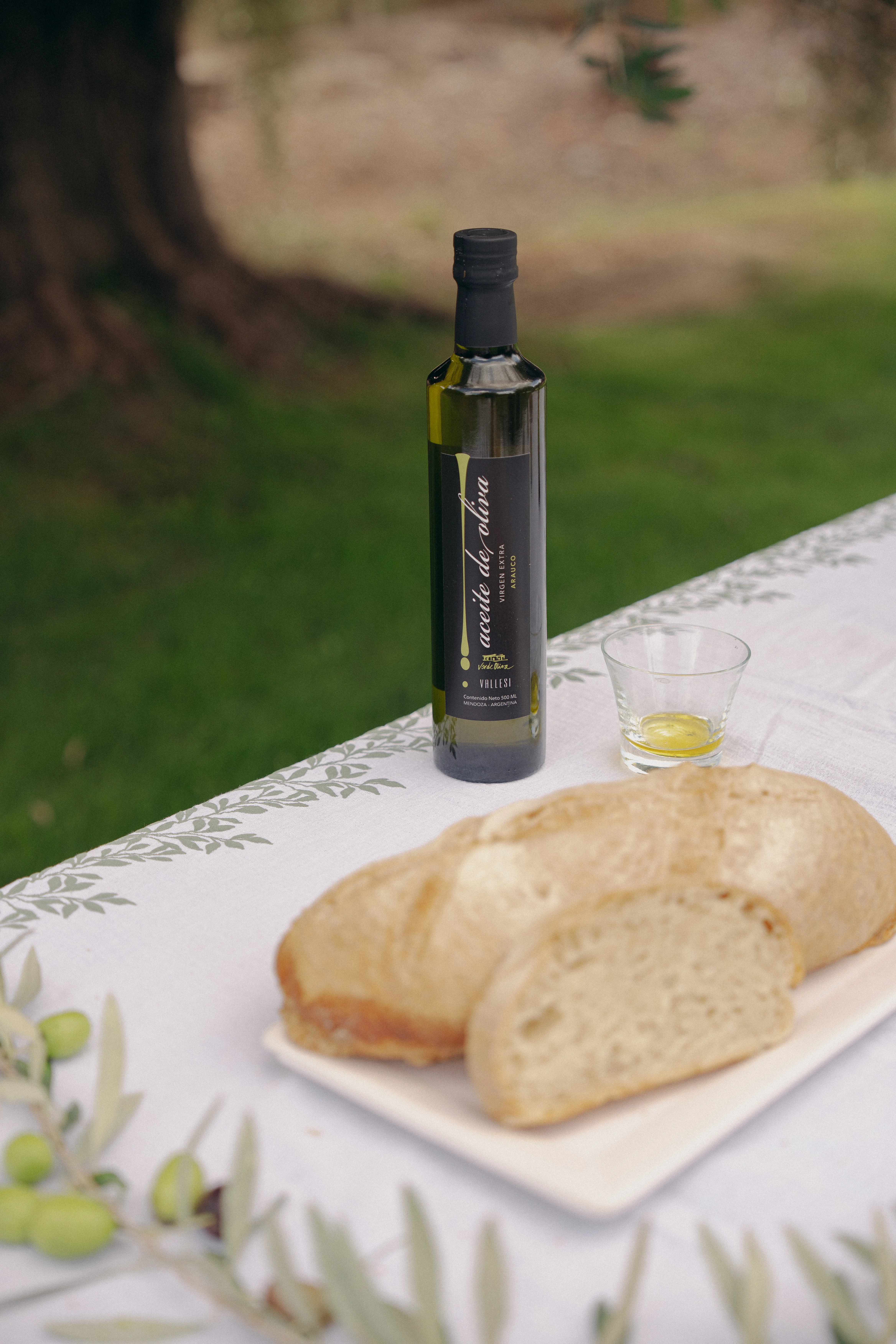 Aceite de oliva y pan en el olivar