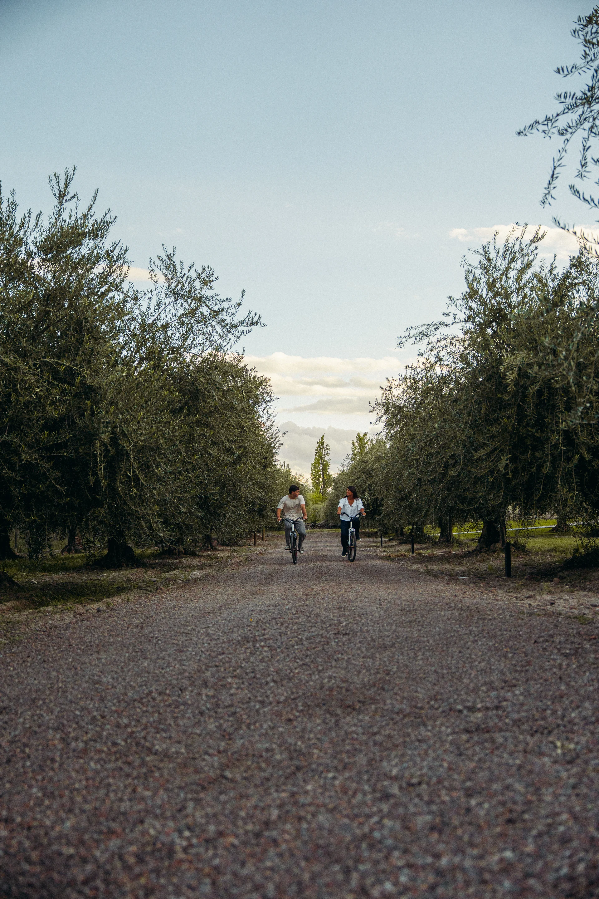 Finca Verde Oliva